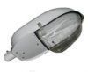 Светильник уличный консольный ЖКУ 49-150-005 выпуклое стекло